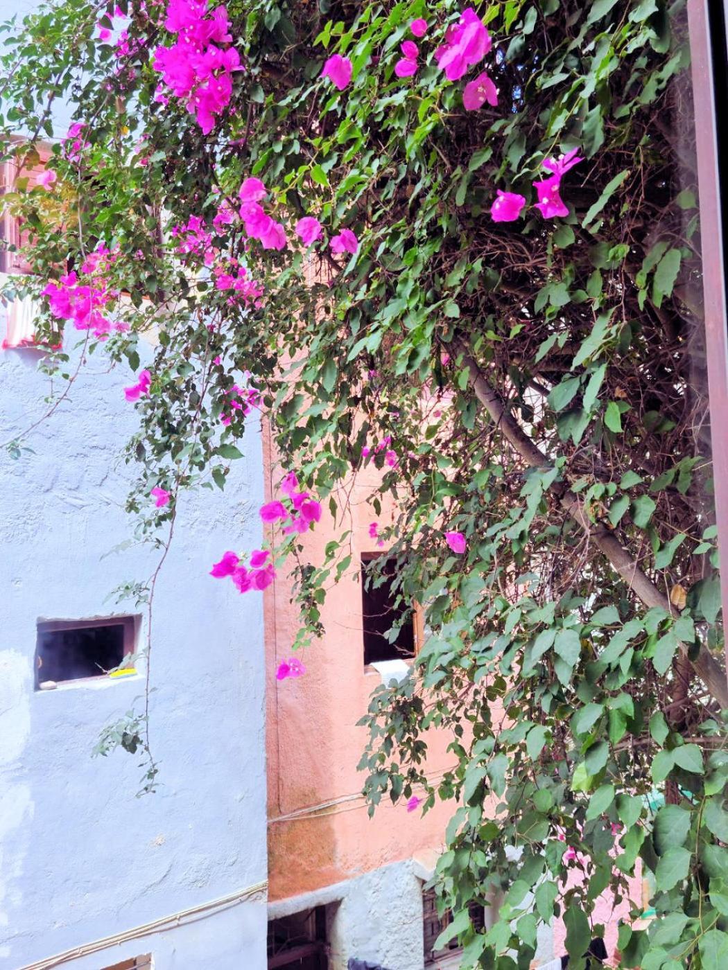 Maison D'Hotes Cite Portugaise El Jadida Cameră foto